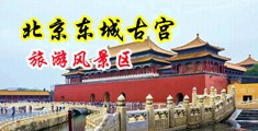 男生的坤巴插进女生菊花里面去中国北京-东城古宫旅游风景区
