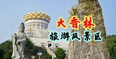游荡骚妇被大鸡吧肏视频中国浙江-绍兴大香林旅游风景区